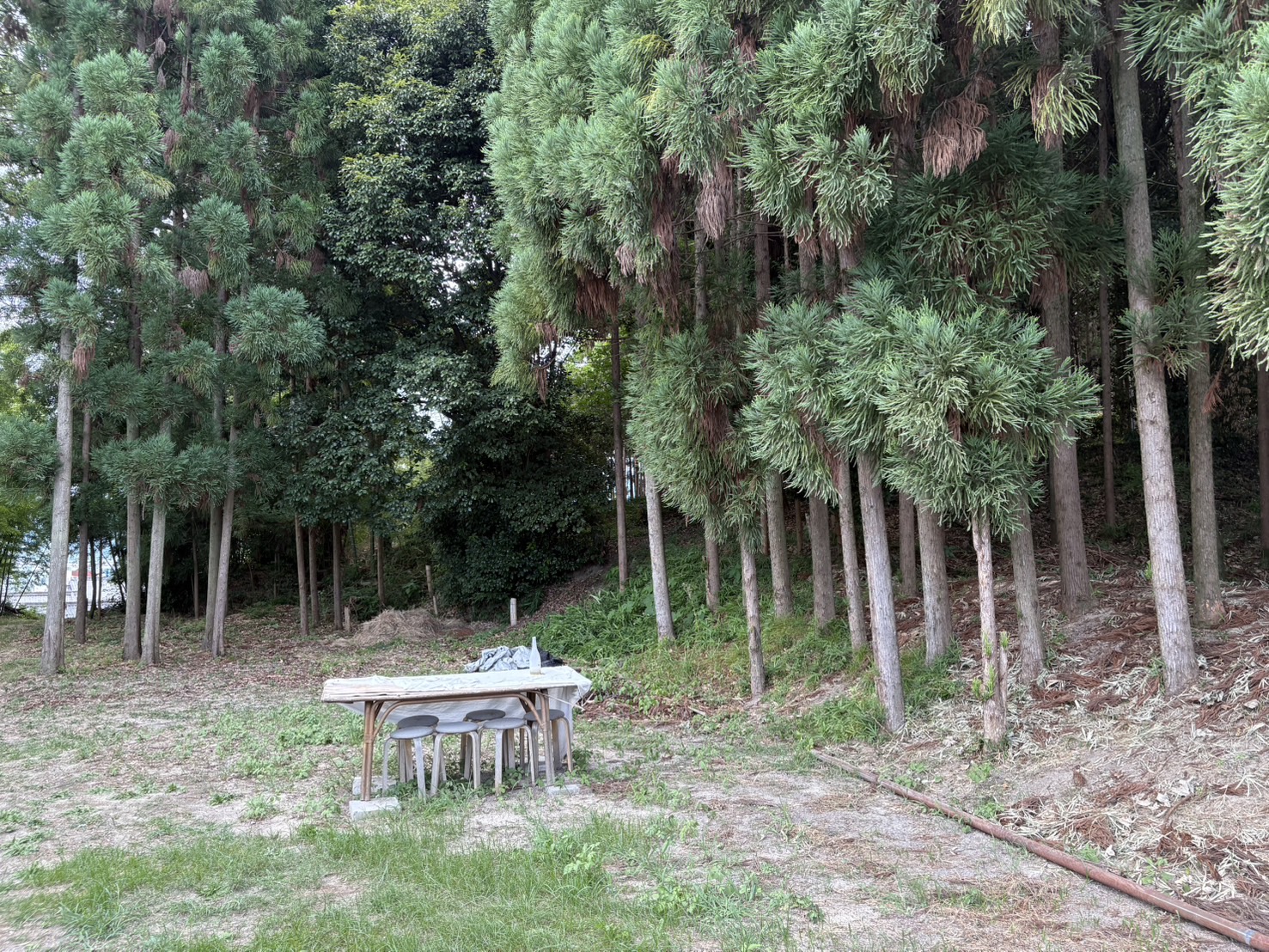 Image4 (2)