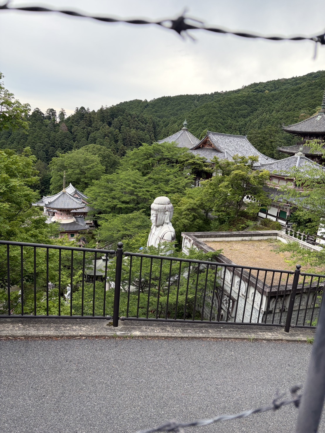 Image0 (51)